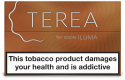Thumbnail of terea-amber_586847.jpg