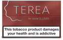 Thumbnail of terea-sienna_586853.jpg